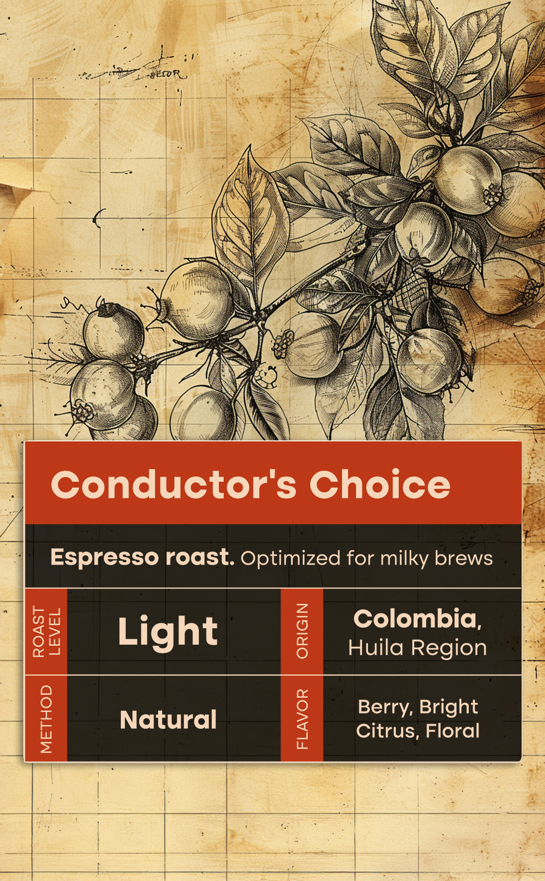 Clockwork Conductor Conductor's Choice – Clockwork Roasters